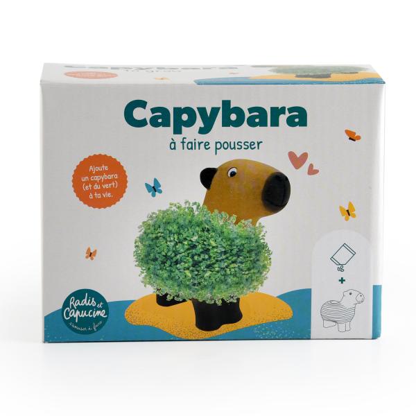 Radis et Capucine - Chia Pet - Capybara à faire pousser - face recto